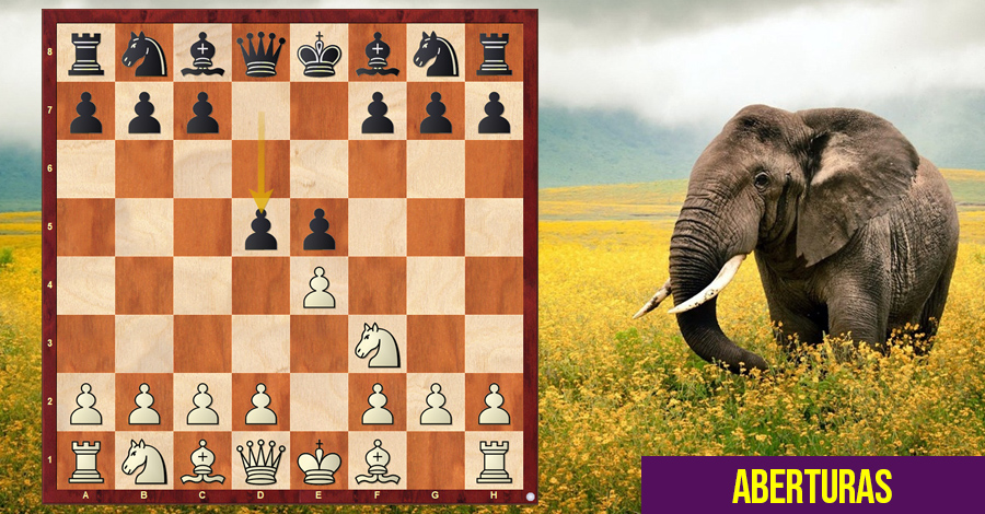 GM elefante38 - Perfil de Xadrez 